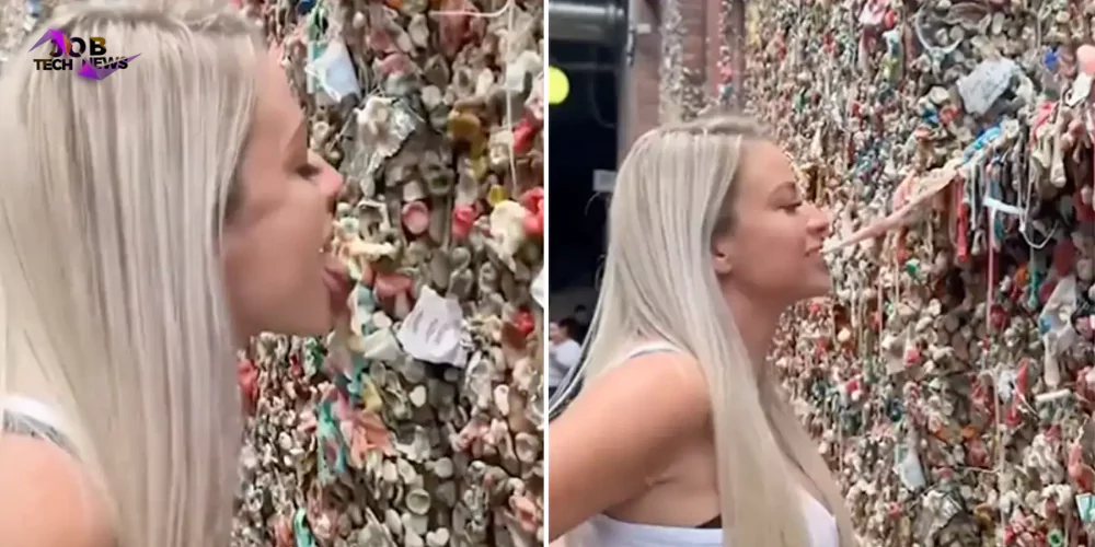watch-influencer-licks-and-chews-gum-from-seattles-public-wall-internet-grossed-out
